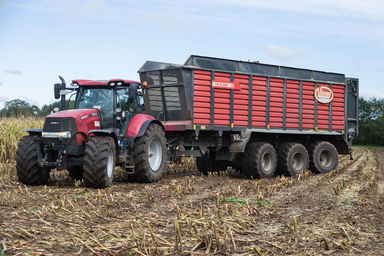 Bild 121 - Maisernte